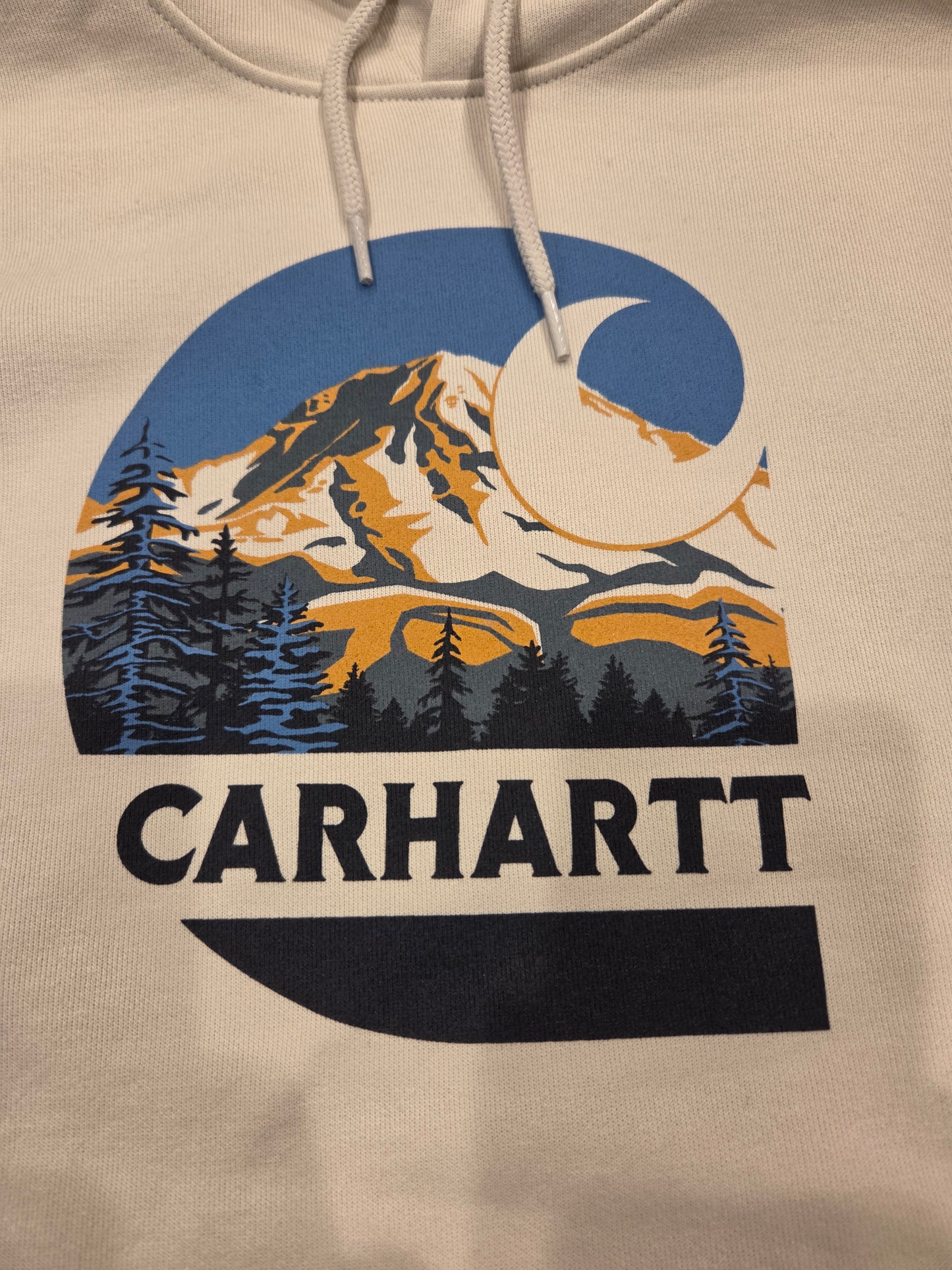 CARHARTT MARQUETTE MOUNTAIN HOODED PULLOVER 107770-W03